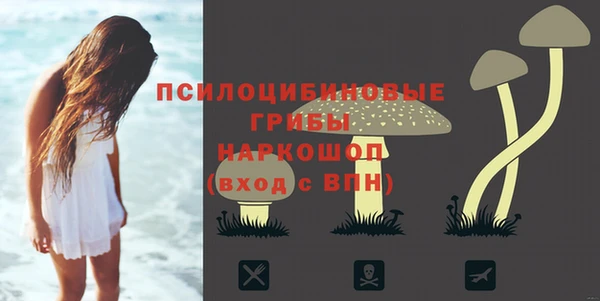 экстази Дмитровск