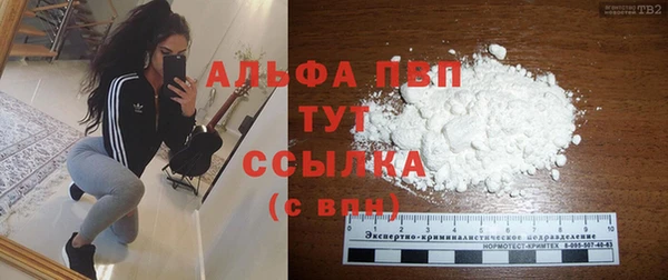 дживик Дмитров