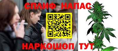 молекула духа Новозыбков