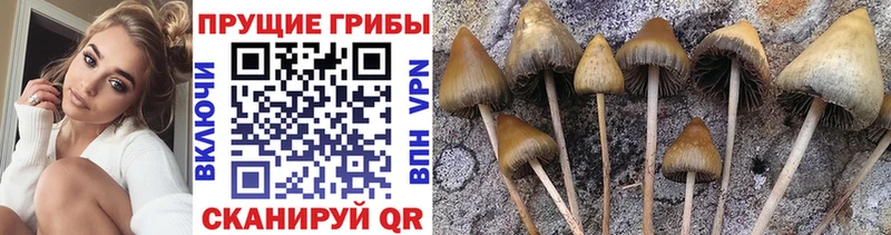 Галлюциногенные грибы GOLDEN TEACHER  Заринск 