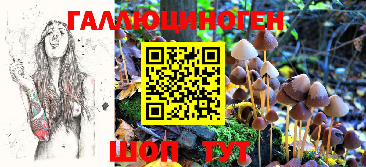 Заринск  Галлюциногенные грибы Psilocybe  магазин    Вход с VPN 