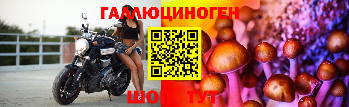 Галлюциногенные грибы Psilocybine cubensis Заринск