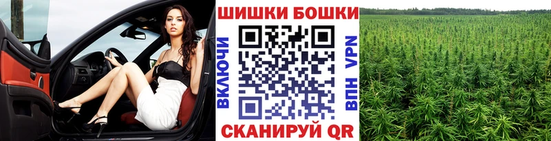 Шишки марихуана марихуана  закладки  Заринск 